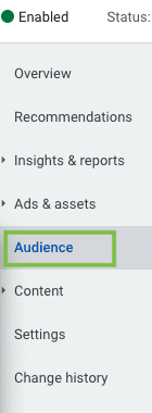 campaign audience in google ads